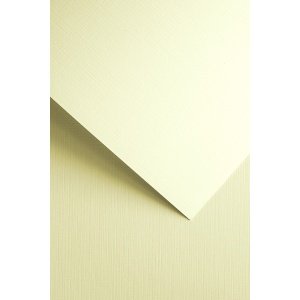 Disainpaber Canvas Cream A4, 240g/20lk