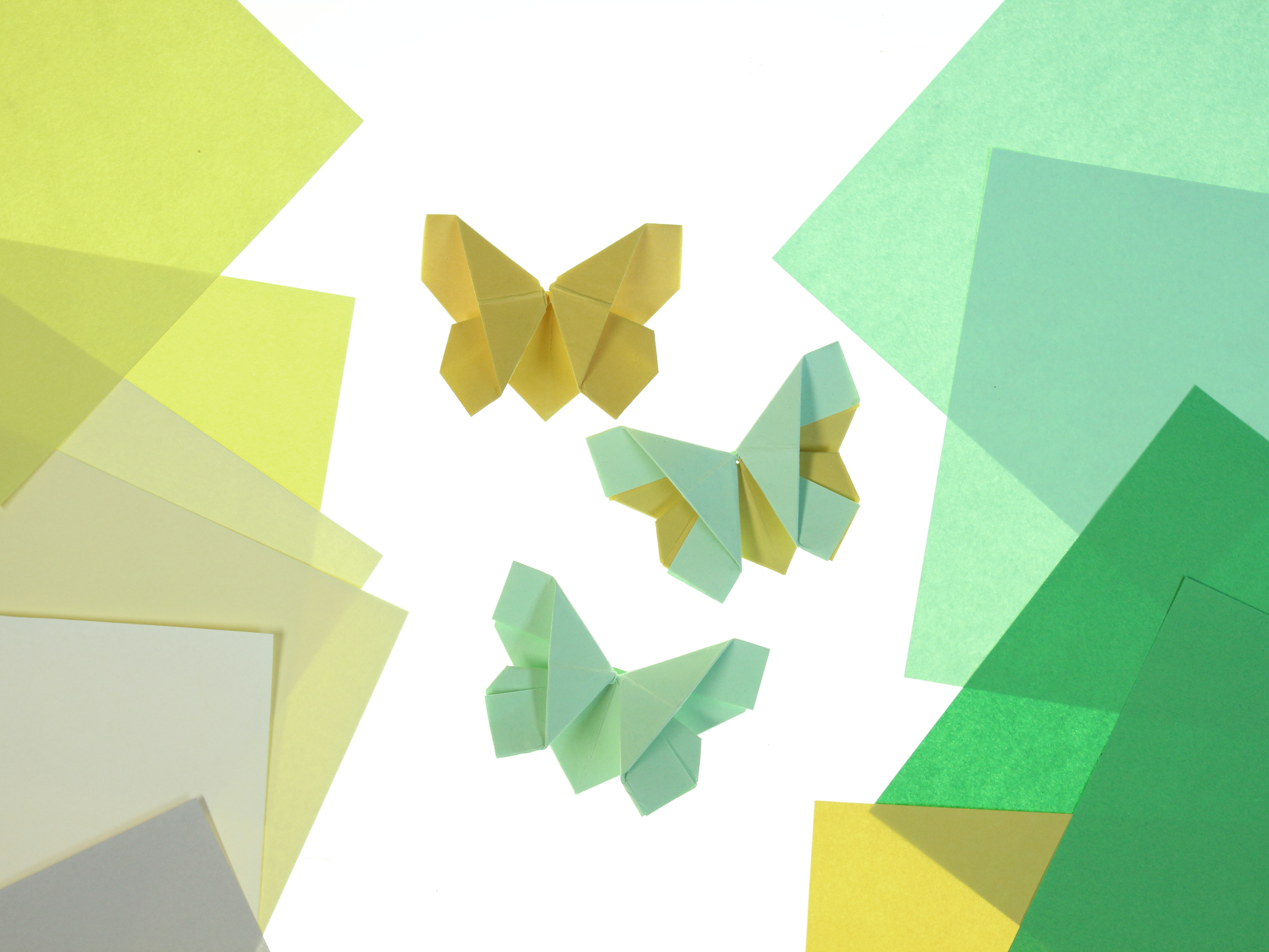 origami liblikas