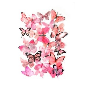 Erinevad roosad liblikate kleebised