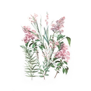 Läbipaistvad kleebised roosad lilled