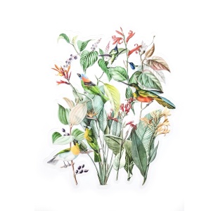 Läbipaistvad kleebised